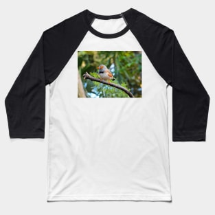 Zebra Finch Baseball T-Shirt